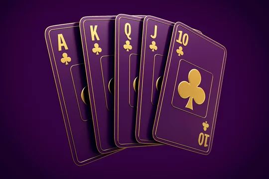 ROYAL CASION آن لائن کیسینو میں کھیلنے کی وجوہات